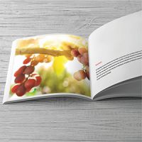 Vinno Weinmarketing - Aufgeschlagenes Handout bzw. Broschüre